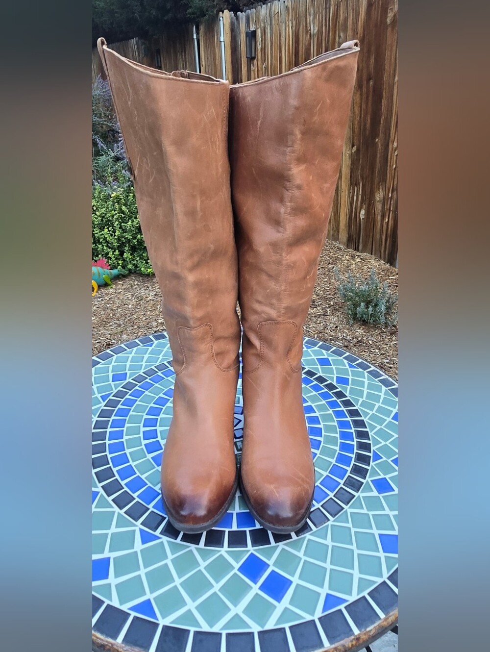 SAM EDELMAN Penny WIDE LEG Women's Tall Leather Riding Boots - Brown